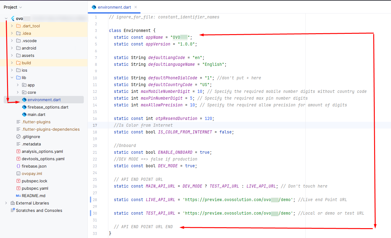 Environment Variables Setup